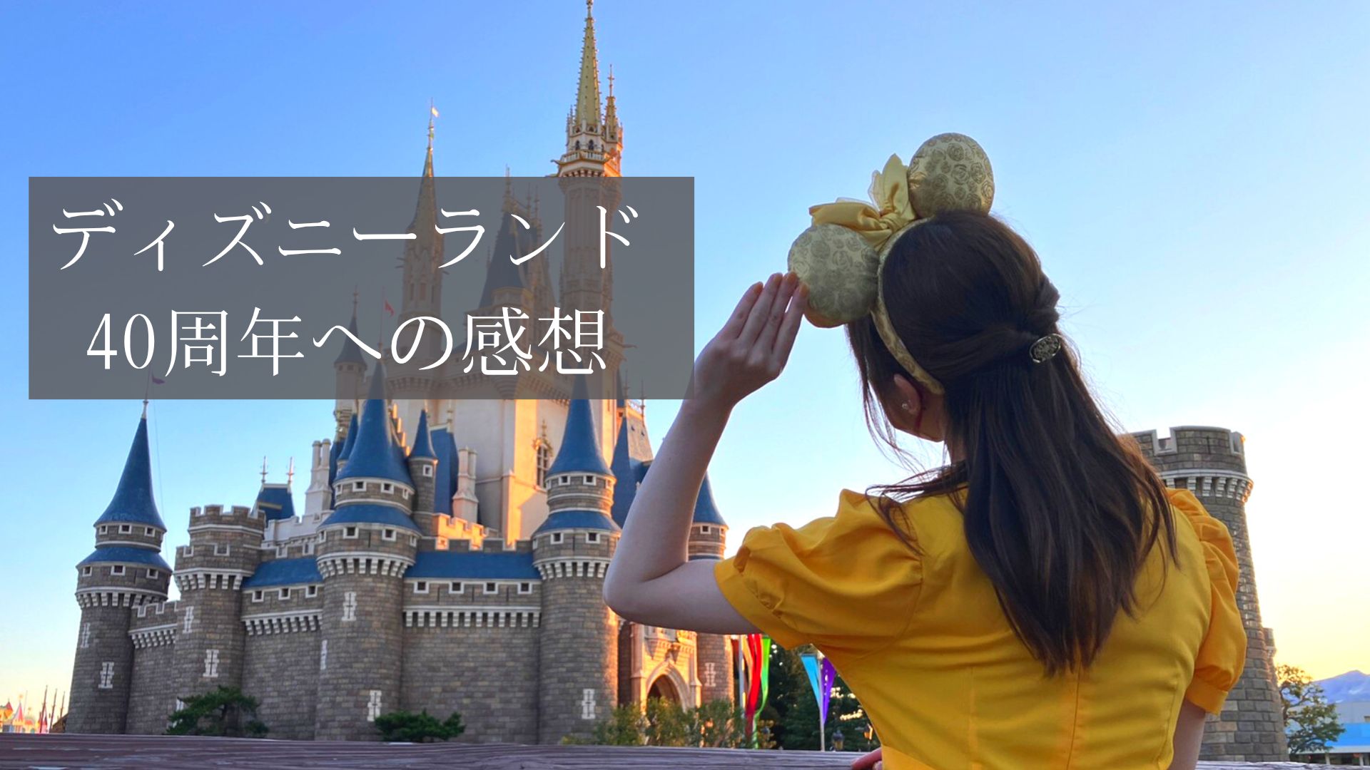 東京ディズニーリゾートに新風を巻き起こす！？40周年パレード「ディズニー・ハーモニー・イン・カラー」キャラ・時間 | びのこブログ